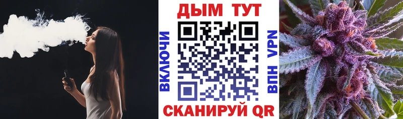 дарк нет наркотические препараты  Волжский  Бошки Шишки сатива 